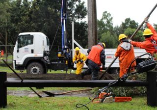 CGE activa plan de acción preventivo por viento y lluvias en La Araucanía