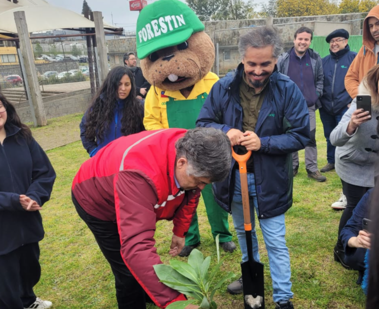 Conaf Entrega Rboles Nativos A Municipalidad De Padre Las Casas