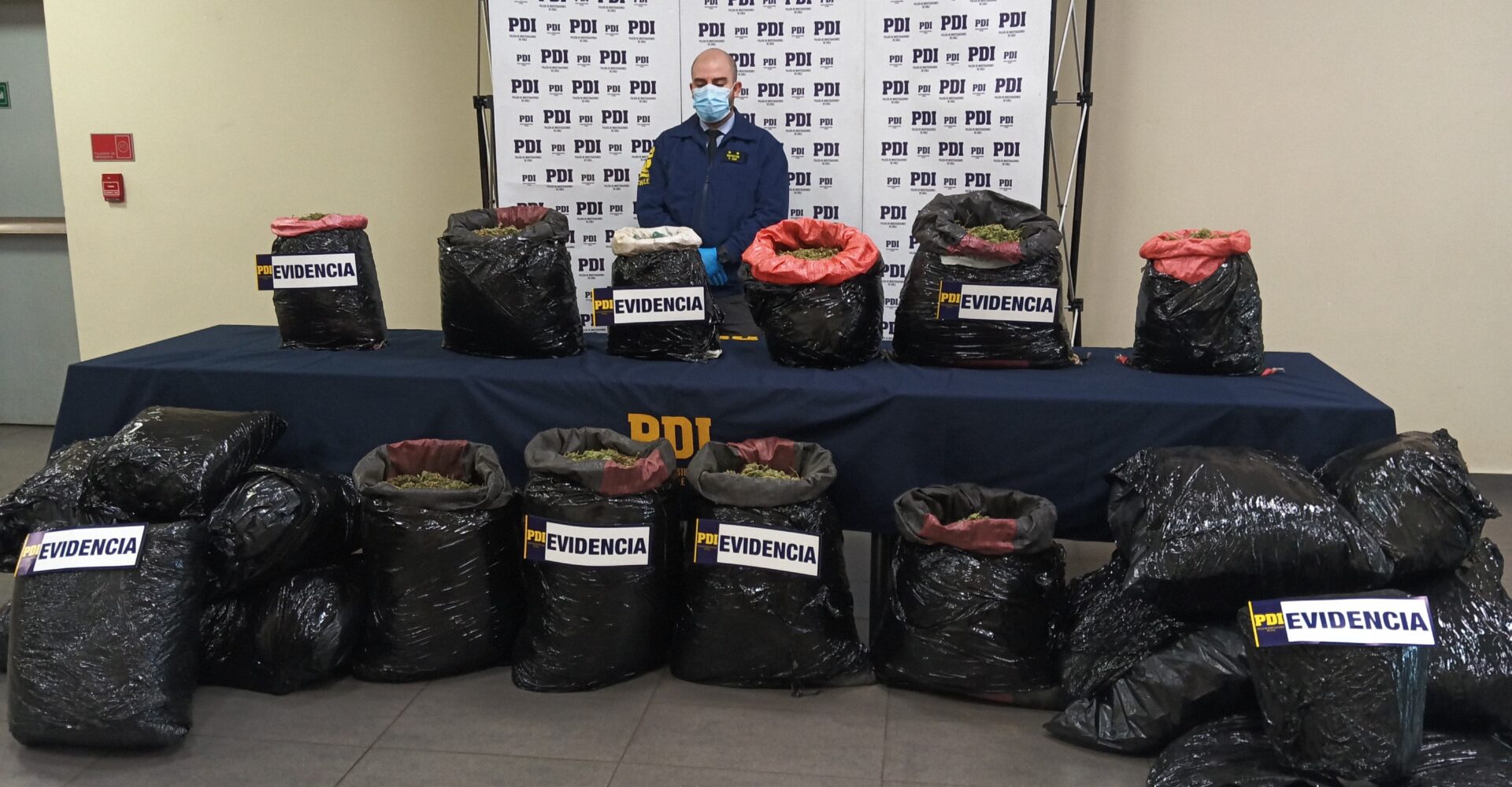 PDI Temuco decomisa 100 kilos de cannabis sativa con destino a la zona lacustre