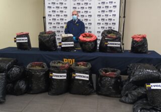 PDI Temuco decomisa 100 kilos de cannabis sativa con destino a la zona lacustre